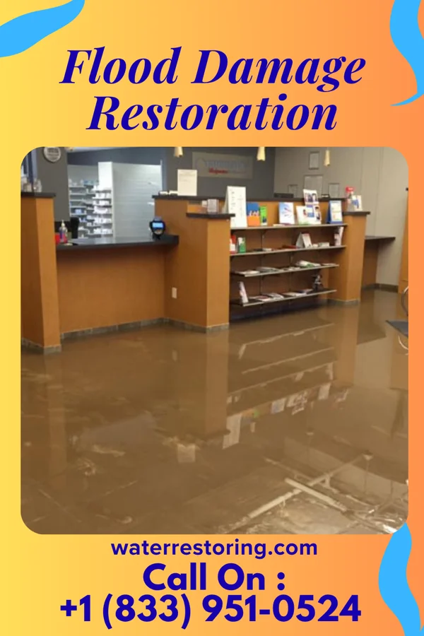 Flood Damage Restoration in Bee Ridge, FL
